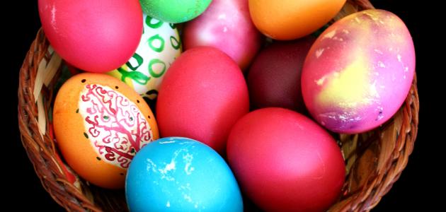 كلمة عن شم النسيم كلمة عن شم النسيم